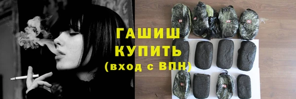 дживик Бородино
