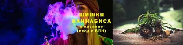 spice Богданович