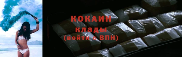 spice Богданович