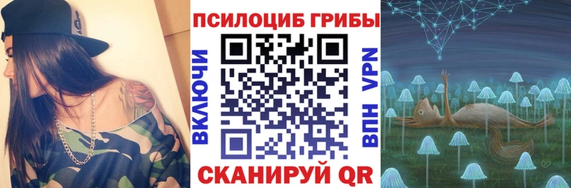 Купить где  Сердобск  Галлюциногенные грибы Cubensis 